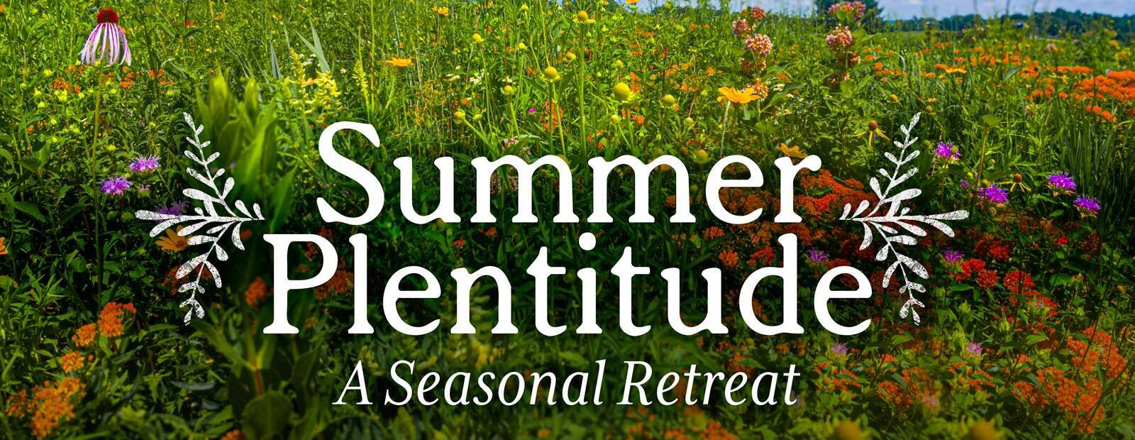 Summer Plentitude: A Seasonal Retreat
